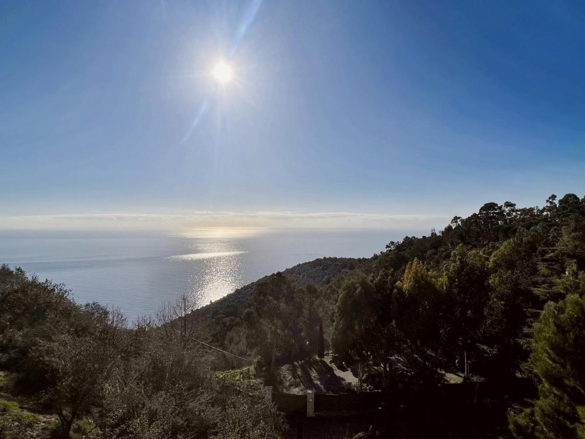 Magnifique 3 Pieces Vue Mer - Eze Lejlighed Eksteriør billede